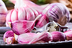 Garlic. Fresh garlic. Red garlic. Garlic press. Violet garlic.Garlic background. garlic bulbs