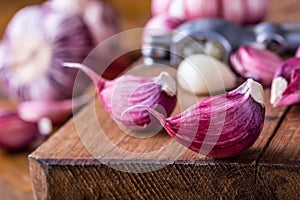 Garlic. Fresh garlic. Red garlic. Garlic press. Violet garlic.Garlic background. garlic bulbs