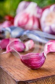 Garlic. Fresh garlic. Red garlic. Garlic press. Violet garlic.Garlic background. garlic bulbs