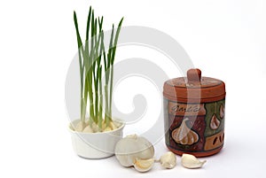 Garlic and garlic keeper