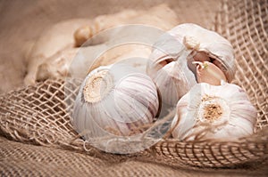 Garlic and ginger close up on fabric burlap