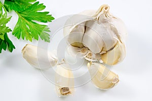 Garlic with green leaves of parsley isolated on white background