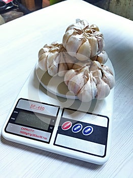 garlic has not been peeled, the scales are placed on a light cream