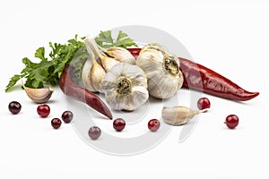 Garlic heads, hot red pepper, parsley leaves, cranberries isolated on white background