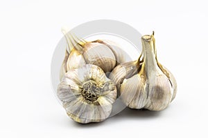 Garlic heads isolated on a white background