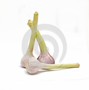 Garlic heads are a vegetable on a white background. Blurred focus