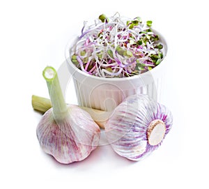 Garlic. Healthy lifestile. Green concept