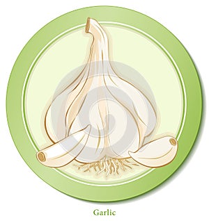 Garlic Herb