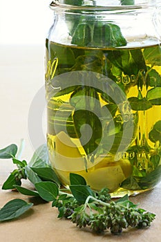 Garlic and herb infused olive oil photo