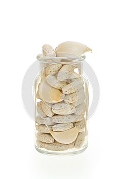 Garlic and herbal supplement pills isolated