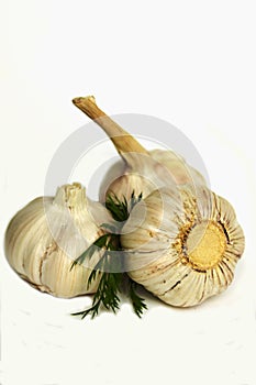 Garlic with herbs on white background