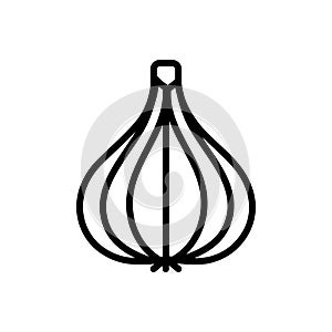 Black line icon for Garlic, alliaceous and plant