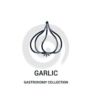 garlic icon vector from gastronomy collection collection. Thin line garlic outline icon vector illustration