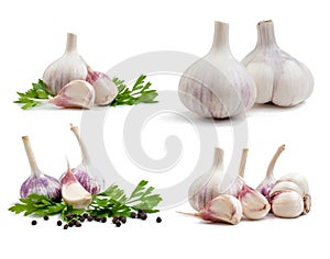 Garlic isolated
