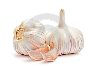 Garlic isolated