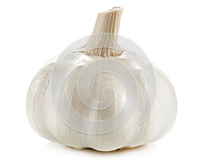 Garlic isolated