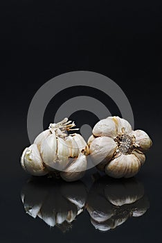 Garlic isolated on black.