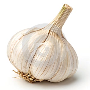 Garlic isolated