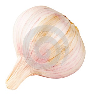 Garlic isolated on white