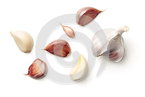 Garlic Isolated on White Background