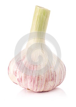 Garlic isolated on white