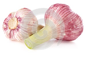 Garlic isolated on white