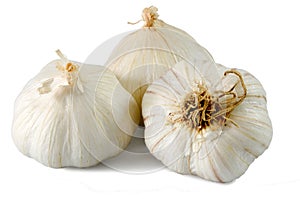 Garlic isolated on white background