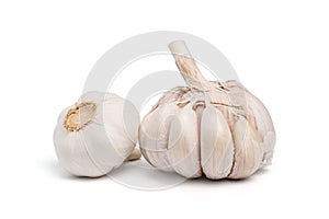 Garlic isolated on white background.