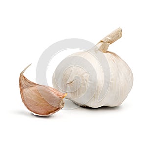 Garlic isolated on white background.