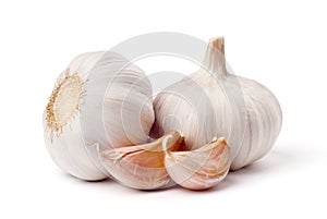 Garlic isolated on white background