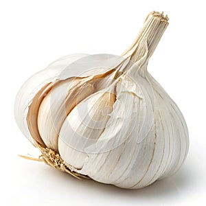 Garlic isolated on white background