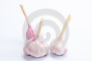 Garlic isolated white background organic. green object