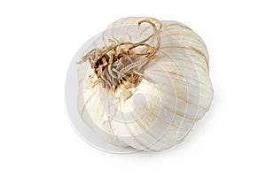 Garlic isolated on white background with path