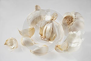 Garlic - Knoblauch photo