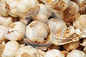 Garlic levels background