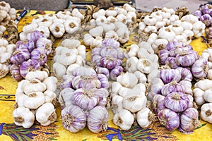 garlic, market in Nyons, Rhone-Alpes, France