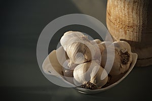 Garlic, nature`s miracle medicine