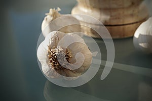 Garlic, nature`s miracle medicine