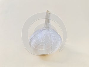 A garlic on off white background.