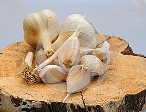 Garlic - one of the most important ingredients in the kitchen. photo