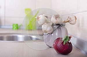 Garlic and onion on countertop