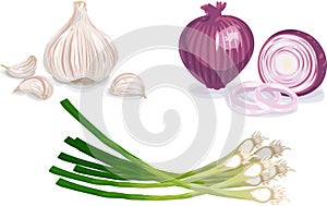 Garlic, Onion, Scallion photo