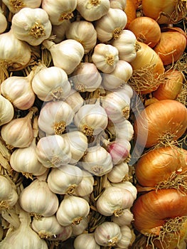 Garlic and Onions