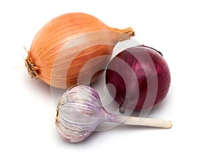Garlic and onions on a white background