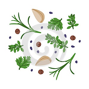 Garlic, Parsley and Rosemary Potherb as Wok Asian Food Ingredient Vector Illustration