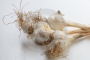 Garlic pestle with stem on white background