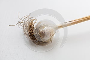 Garlic pestle with stem on white background