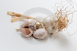 Garlic pestle with stem on white background