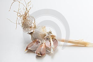 Garlic pestle with stem on white background