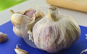 Garlic photograph on blue board